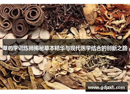 草药学训练师揭秘草本精华与现代医学结合的创新之路 草药学训练师揭秘草本精华与现代医学结合的创新之路